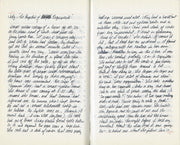 Rock Dove, January 12, 1993